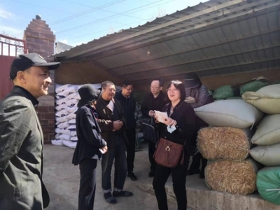 全國畜牧總站深入尋甸開展調研，共繪現代畜牧業與飼料銷售新藍圖