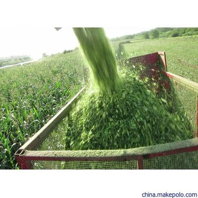 吉林創(chuàng)新發(fā)布懸掛式玉米青儲機(jī)割臺 犇牛大型青飼料收割機(jī)價格與畜牧飼料銷售新機(jī)遇